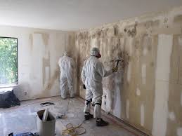 Best Mold Damage Restoration  in Liberal, KS